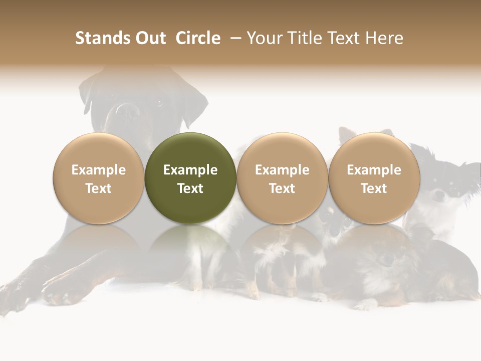 Family Photo Of Dogs PowerPoint Template