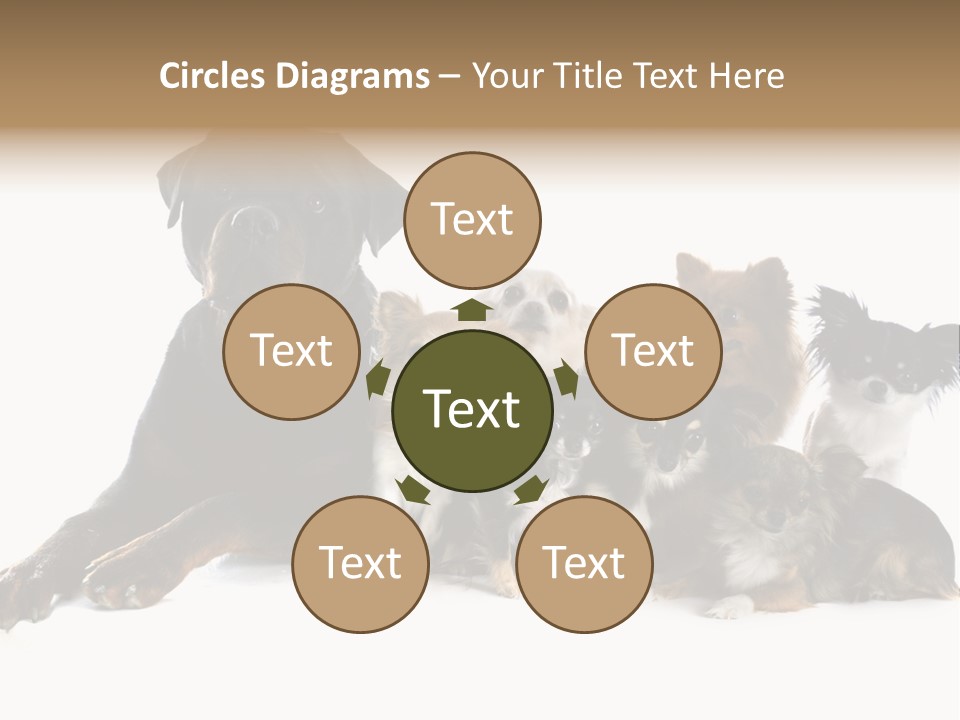 Family Photo Of Dogs PowerPoint Template