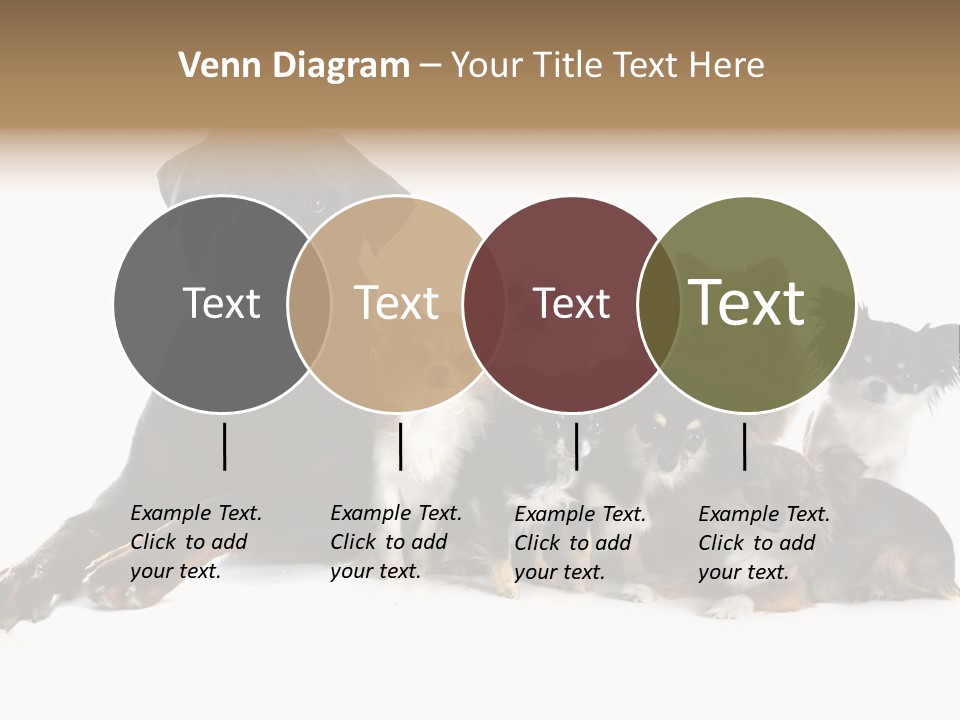 Family Photo Of Dogs PowerPoint Template