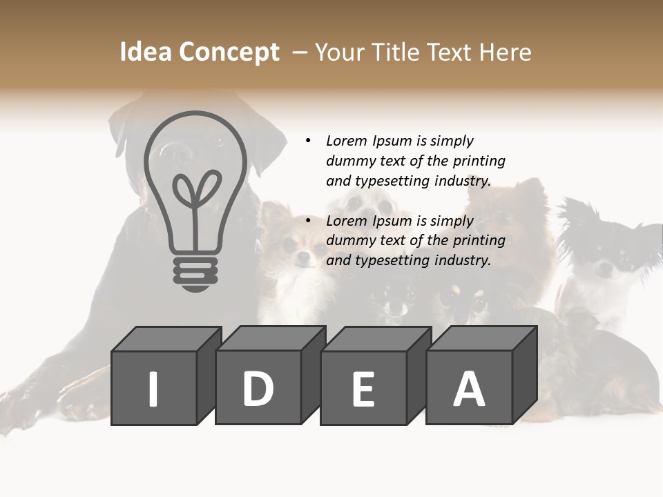 Family Photo Of Dogs PowerPoint Template