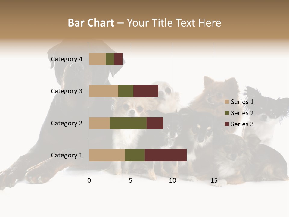 Family Photo Of Dogs PowerPoint Template