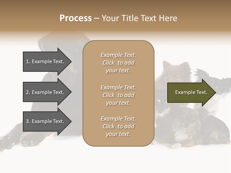 Family Photo Of Dogs PowerPoint Template