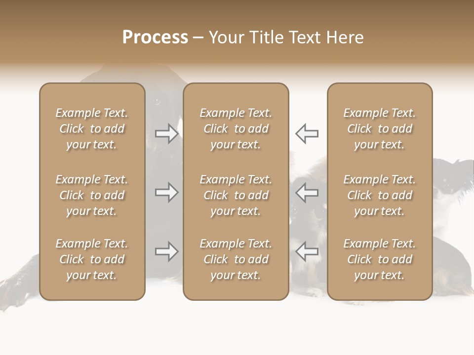 Family Photo Of Dogs PowerPoint Template