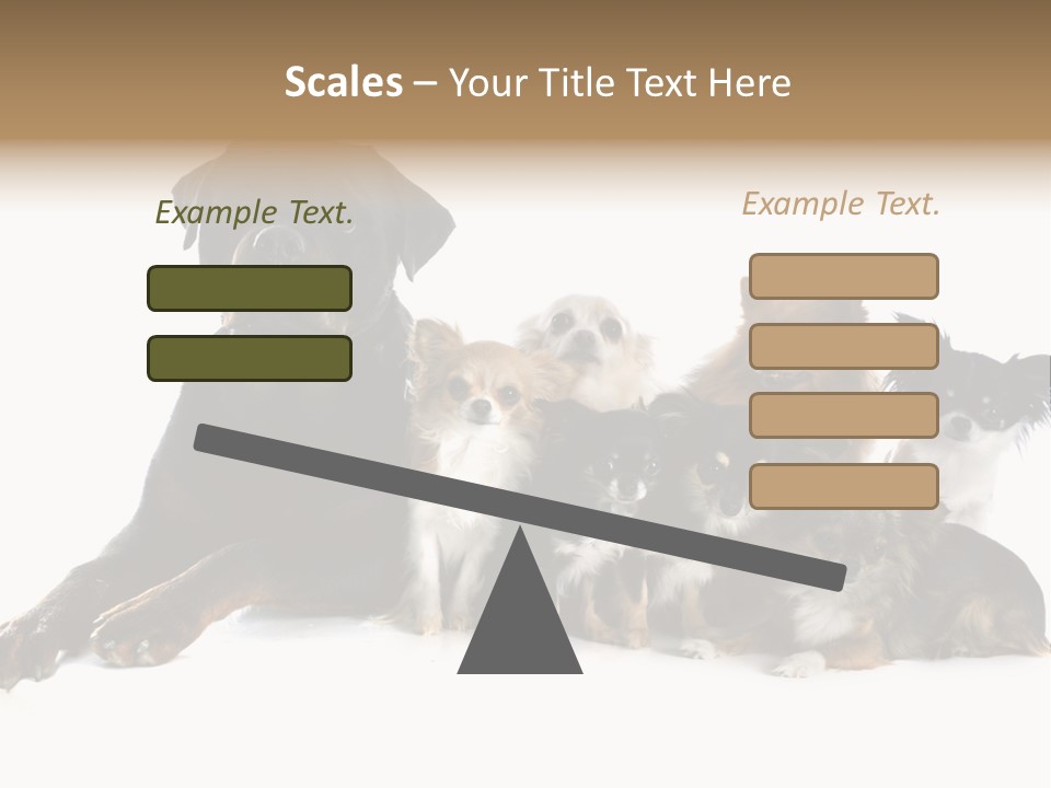 Family Photo Of Dogs PowerPoint Template