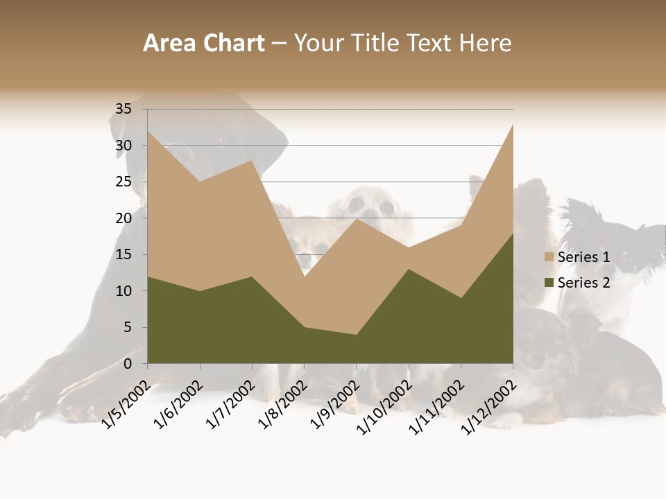Family Photo Of Dogs PowerPoint Template