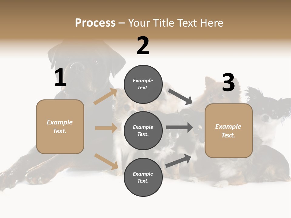 Family Photo Of Dogs PowerPoint Template