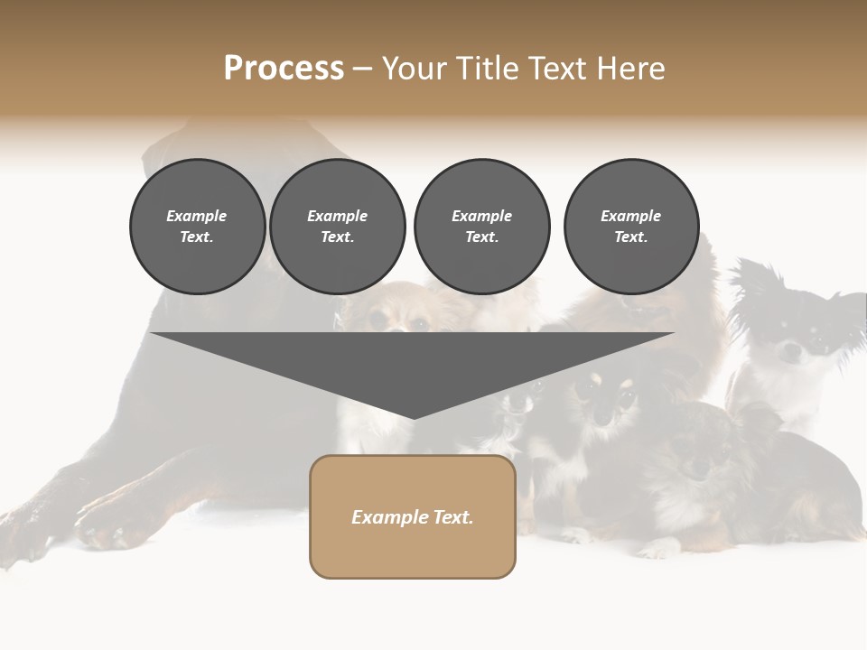Family Photo Of Dogs PowerPoint Template