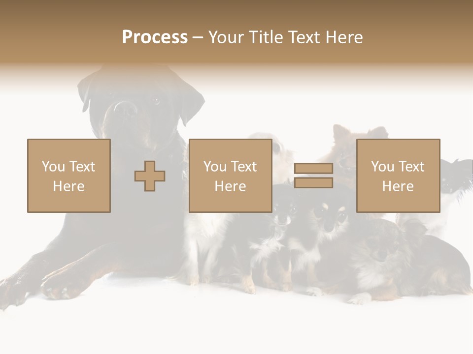 Family Photo Of Dogs PowerPoint Template