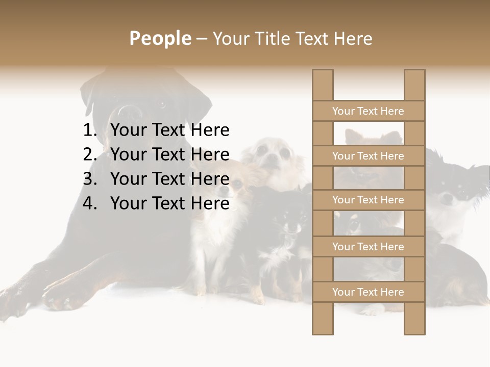 Family Photo Of Dogs PowerPoint Template