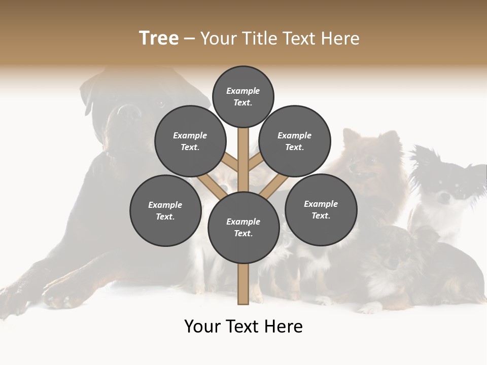 Family Photo Of Dogs PowerPoint Template