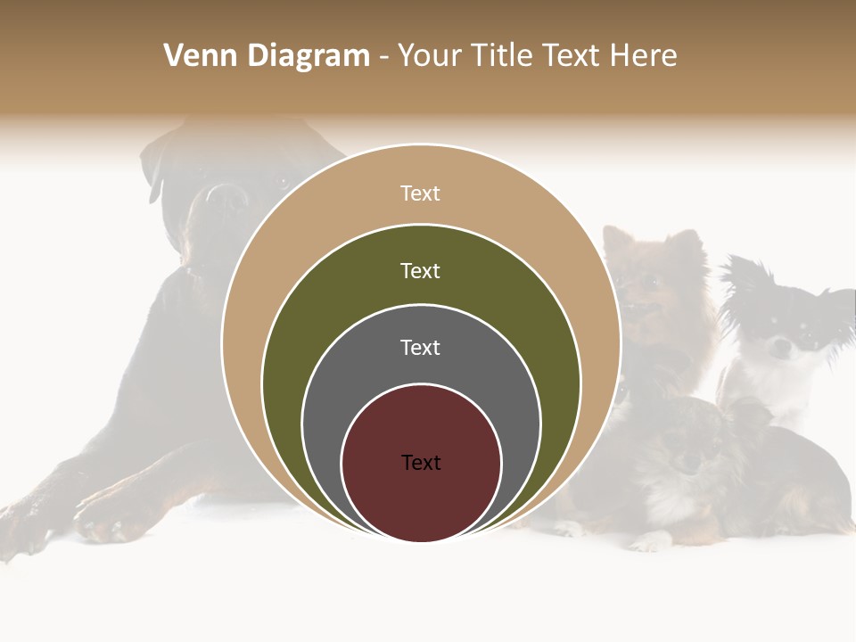 Family Photo Of Dogs PowerPoint Template