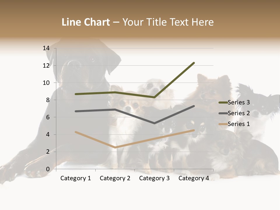 Family Photo Of Dogs PowerPoint Template