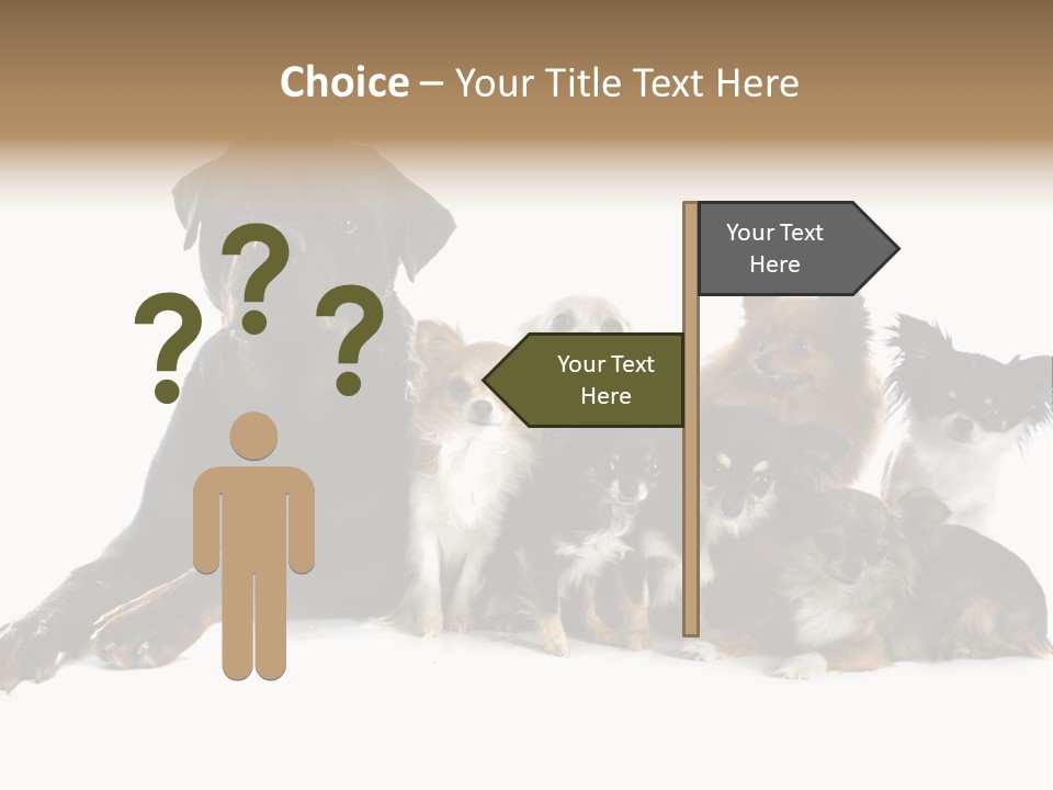 Family Photo Of Dogs PowerPoint Template