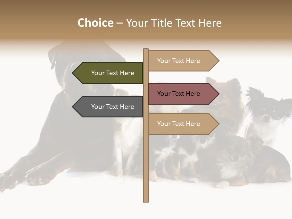 Family Photo Of Dogs PowerPoint Template