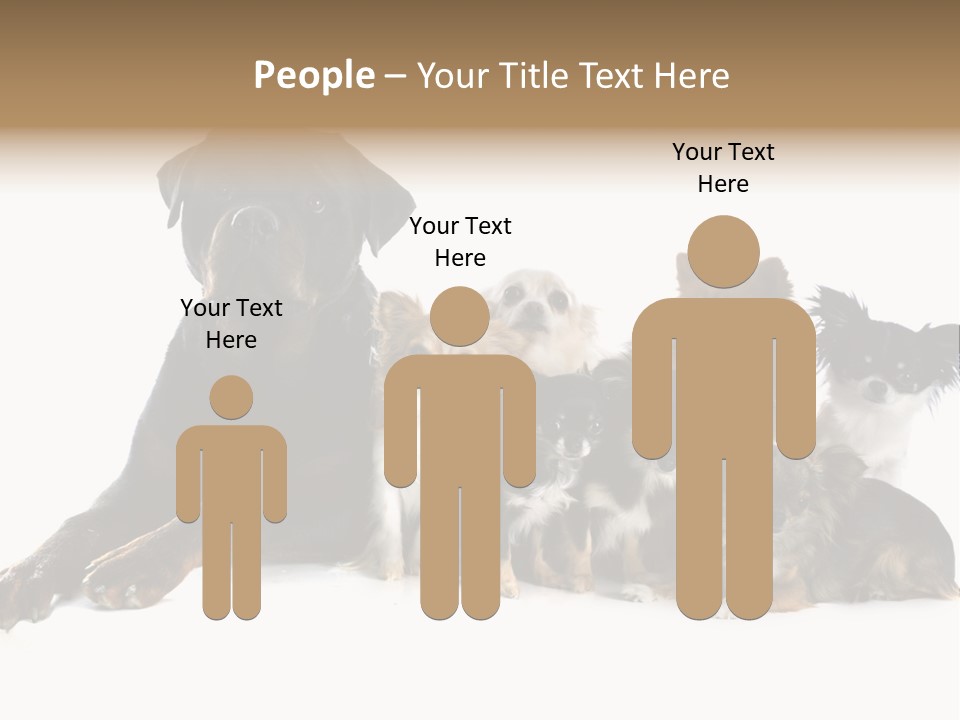 Family Photo Of Dogs PowerPoint Template