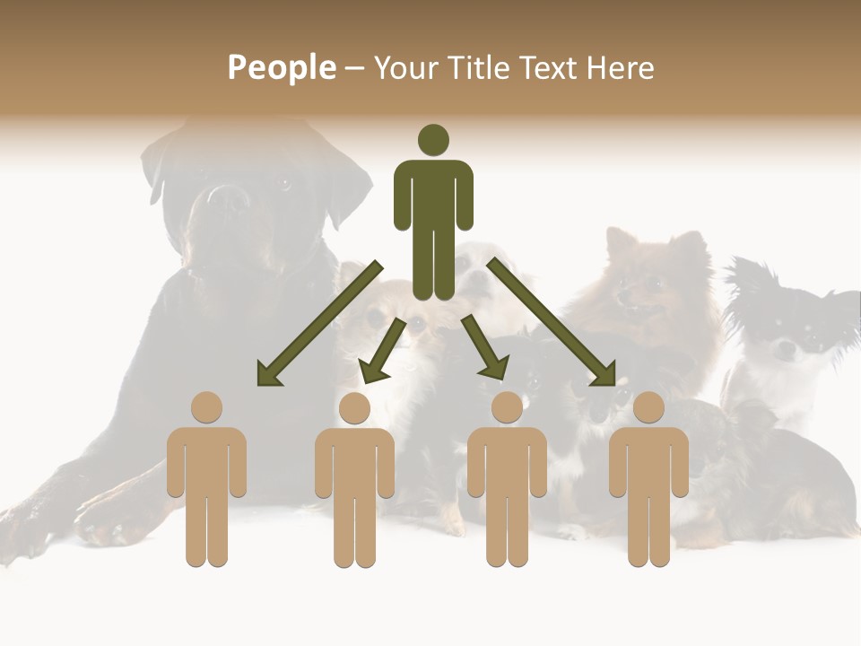 Family Photo Of Dogs PowerPoint Template