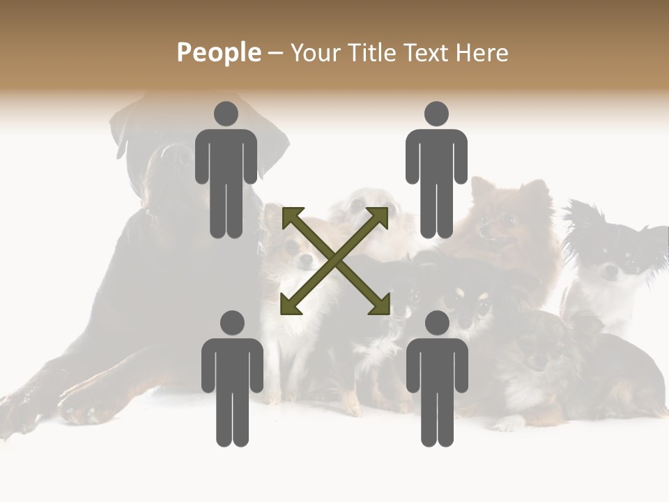 Family Photo Of Dogs PowerPoint Template