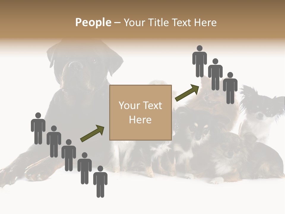 Family Photo Of Dogs PowerPoint Template