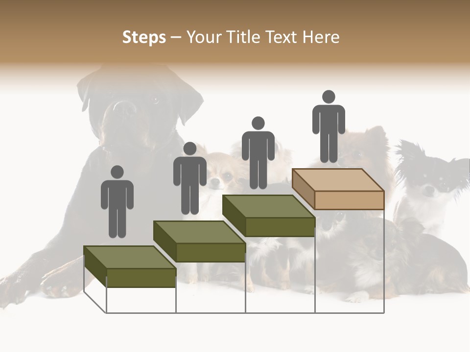 Family Photo Of Dogs PowerPoint Template
