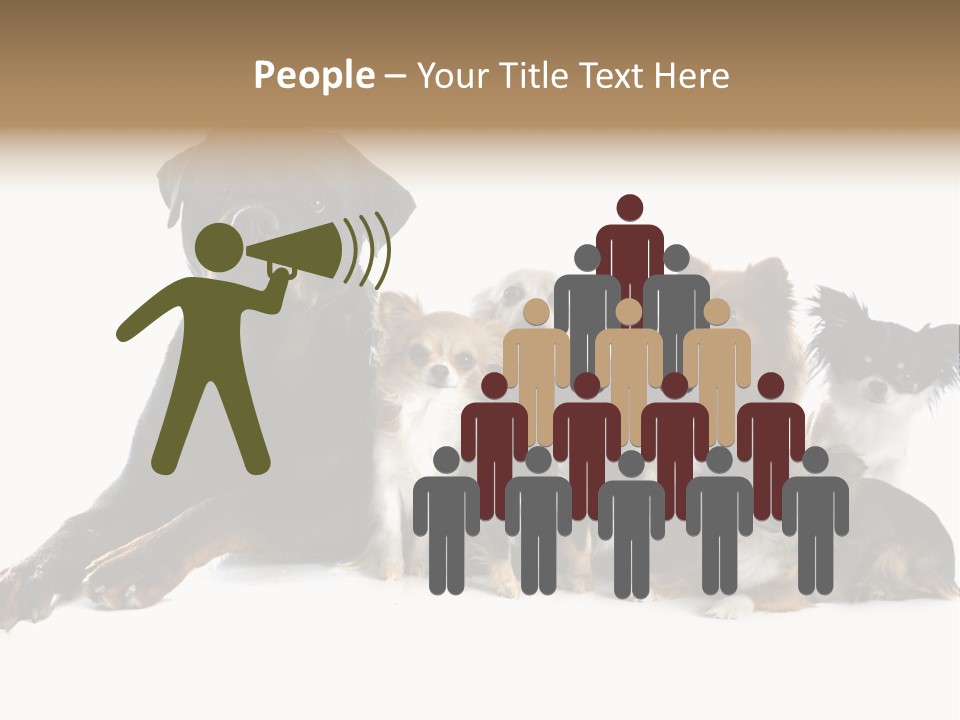 Family Photo Of Dogs PowerPoint Template