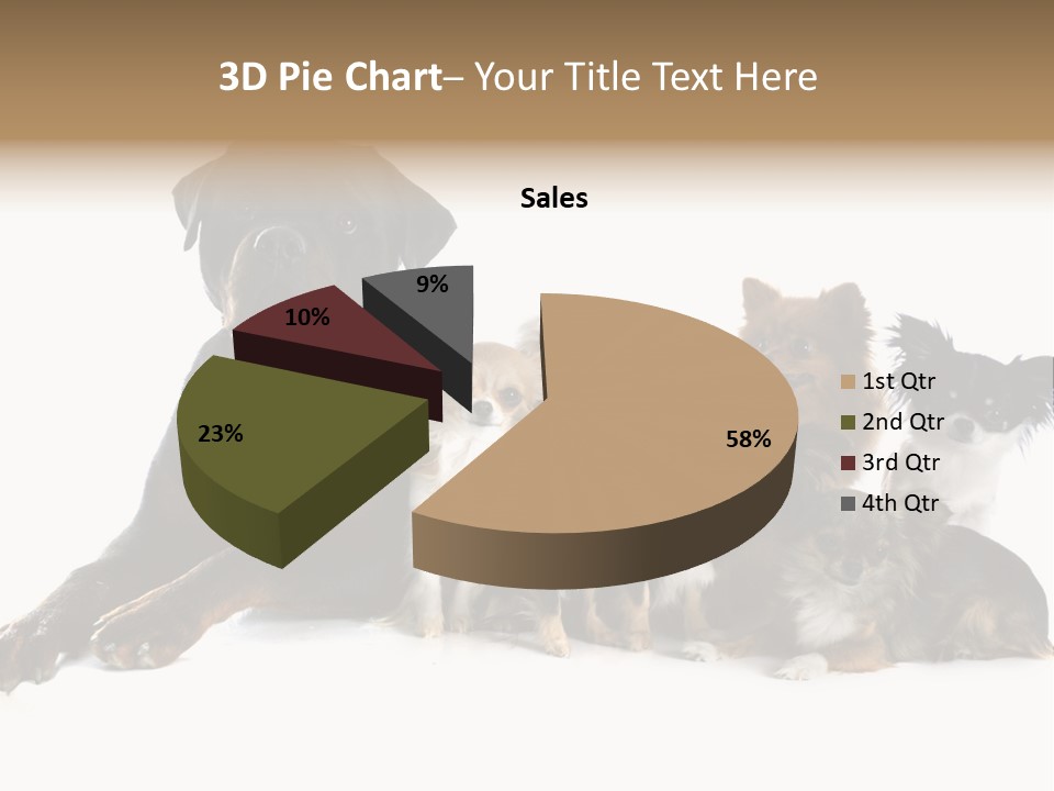 Family Photo Of Dogs PowerPoint Template