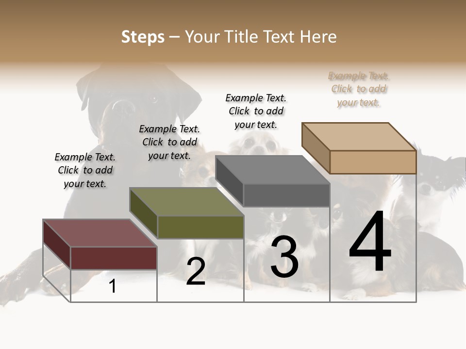 Family Photo Of Dogs PowerPoint Template