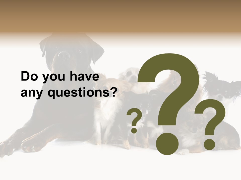 Family Photo Of Dogs PowerPoint Template