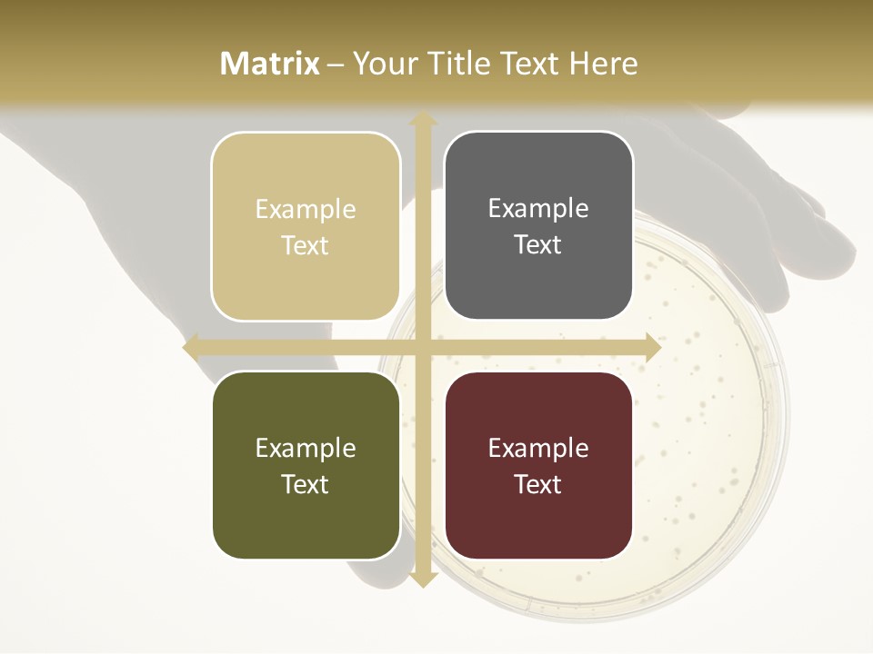 Petri Dish PowerPoint Template