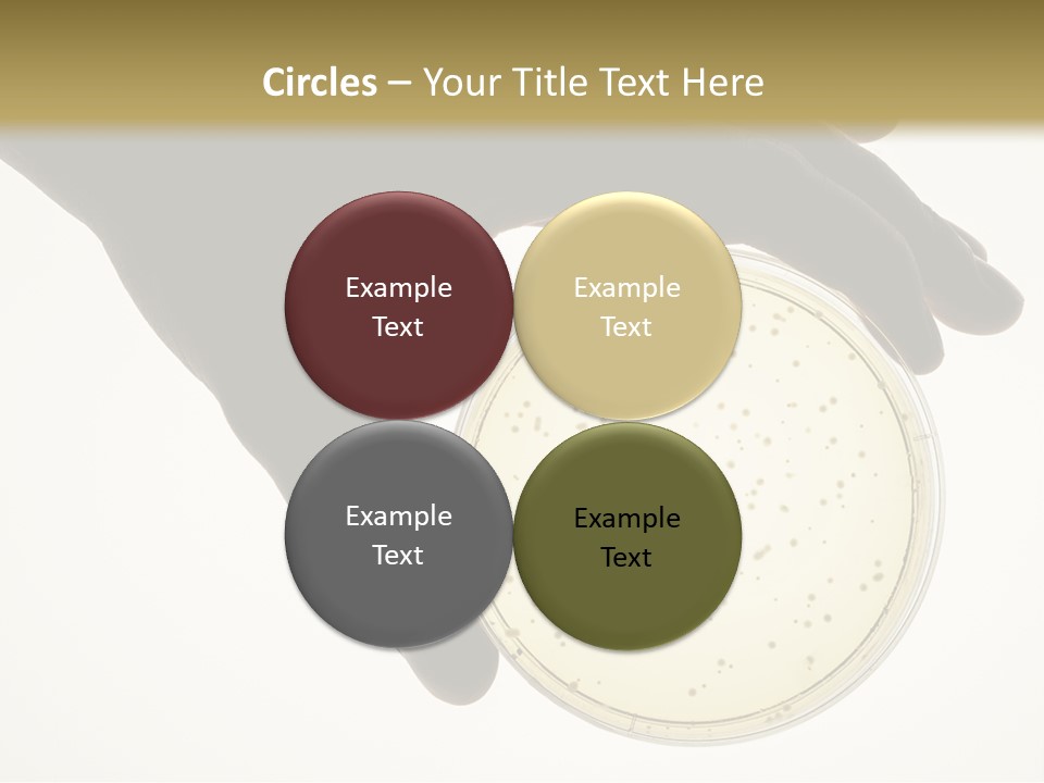 Petri Dish PowerPoint Template