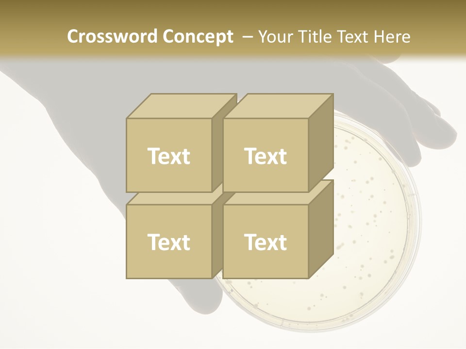 Petri Dish PowerPoint Template
