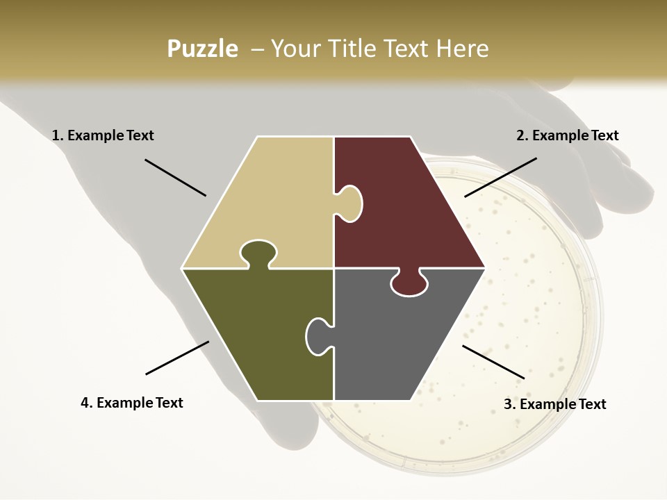 Petri Dish PowerPoint Template