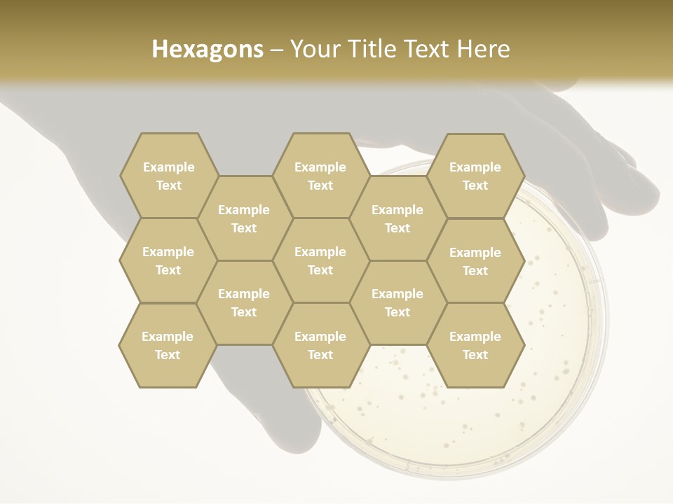 Petri Dish PowerPoint Template