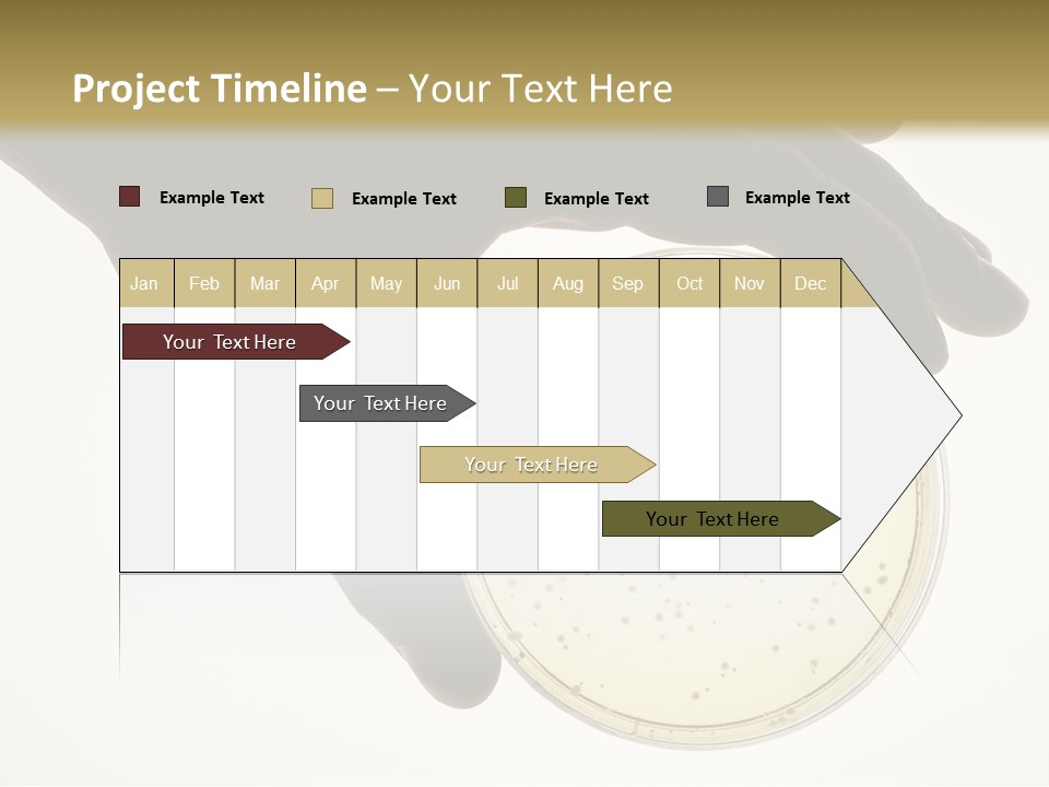 Petri Dish PowerPoint Template