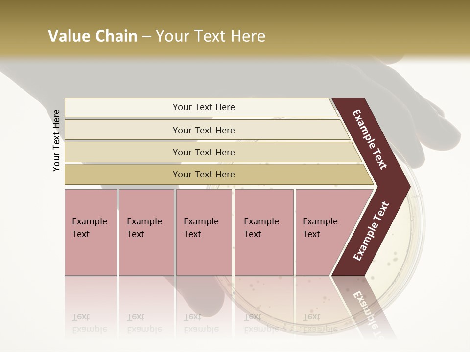 Petri Dish PowerPoint Template