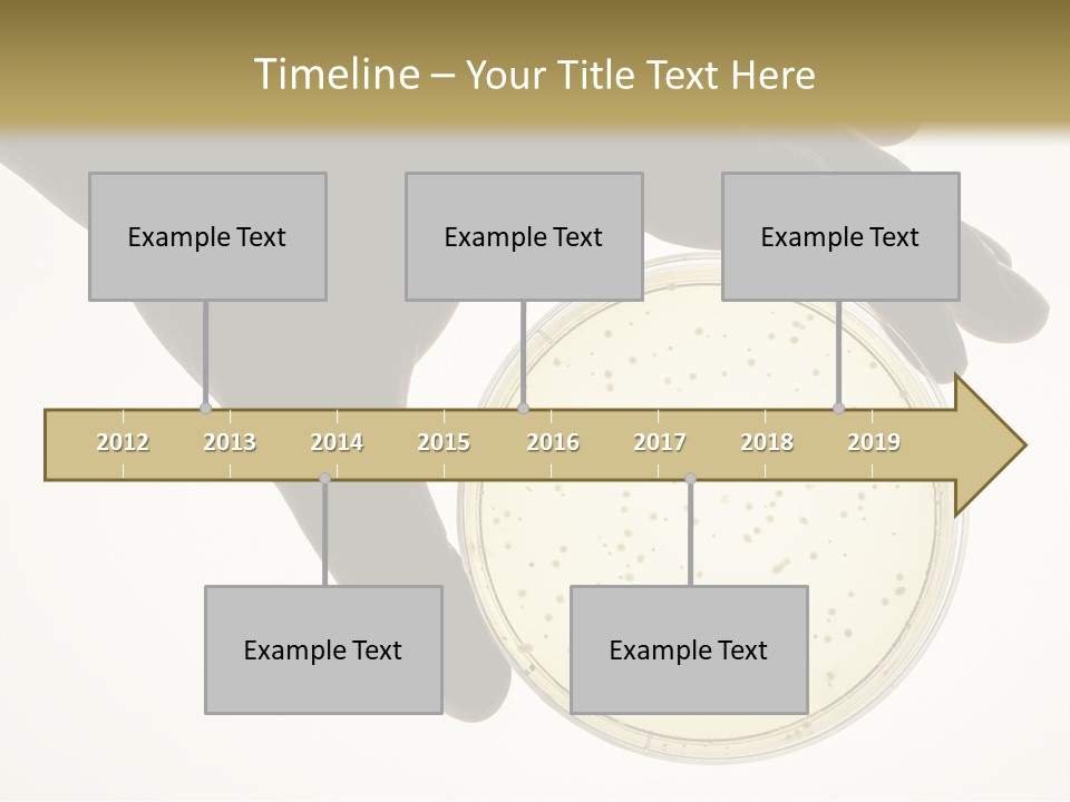 Petri Dish PowerPoint Template