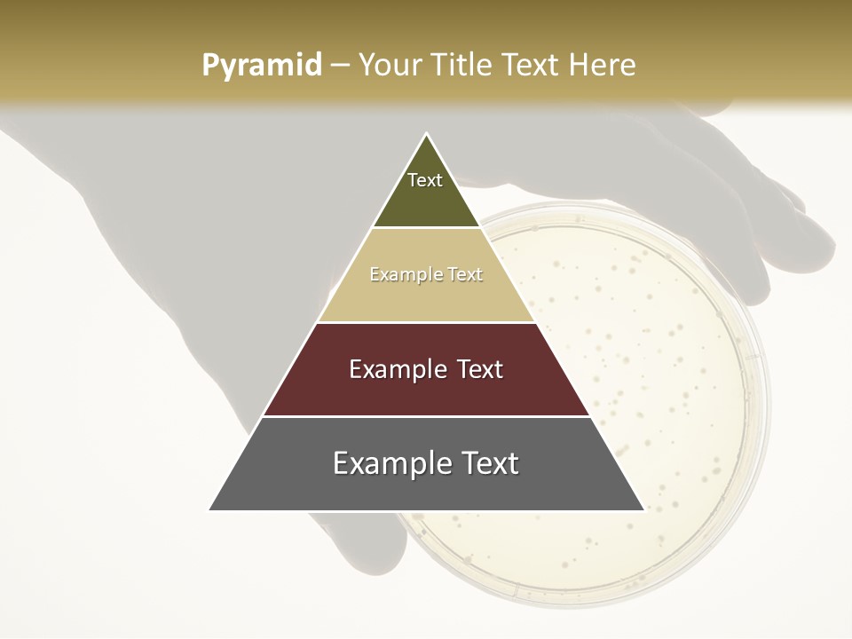 Petri Dish PowerPoint Template