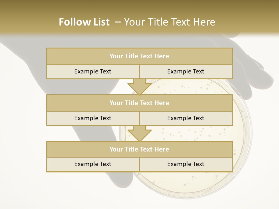 Petri Dish PowerPoint Template