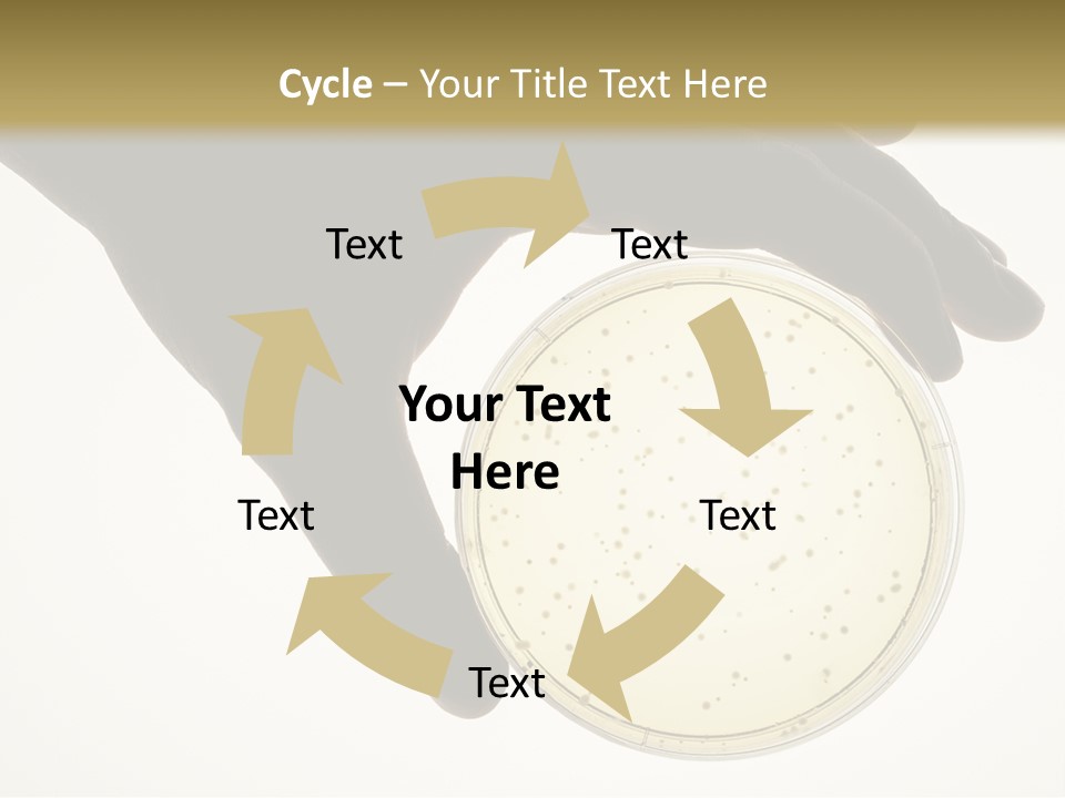 Petri Dish PowerPoint Template