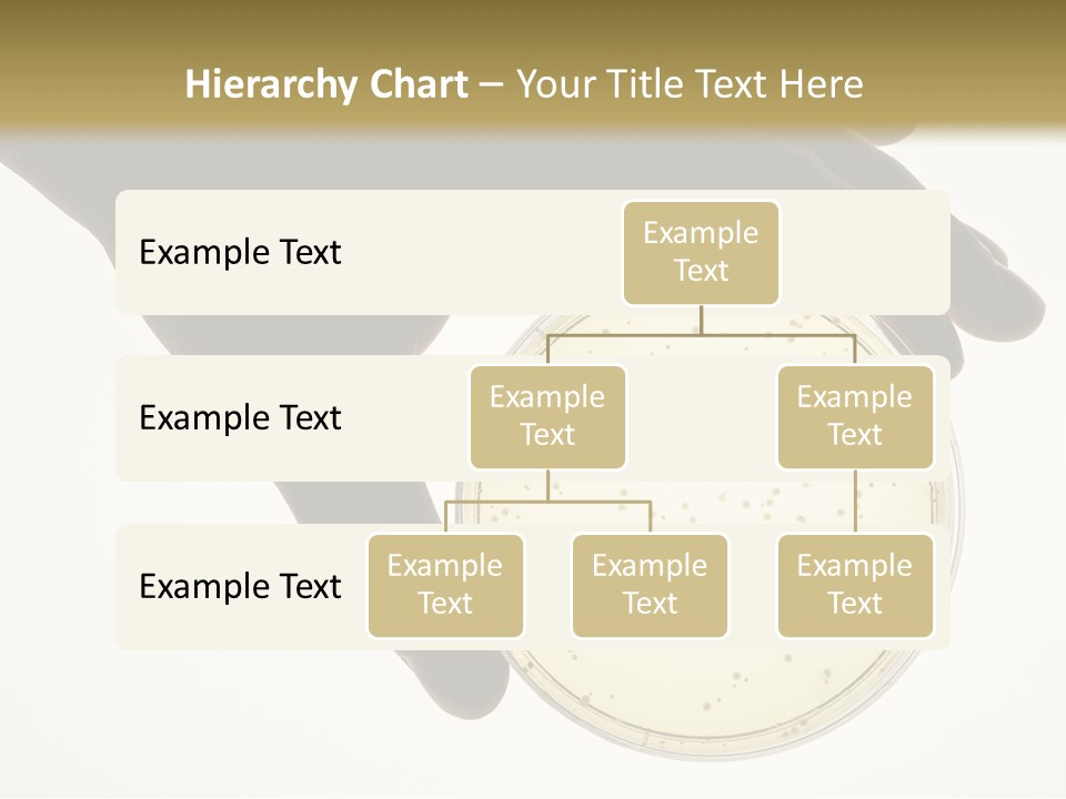 Petri Dish PowerPoint Template
