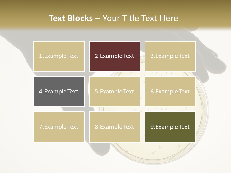 Petri Dish PowerPoint Template