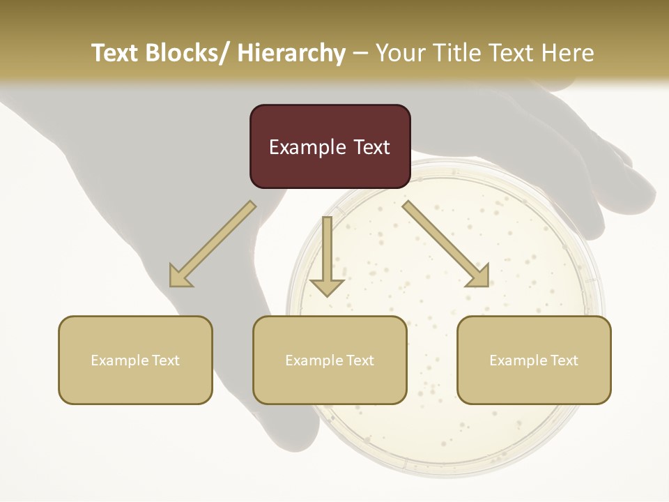 Petri Dish PowerPoint Template