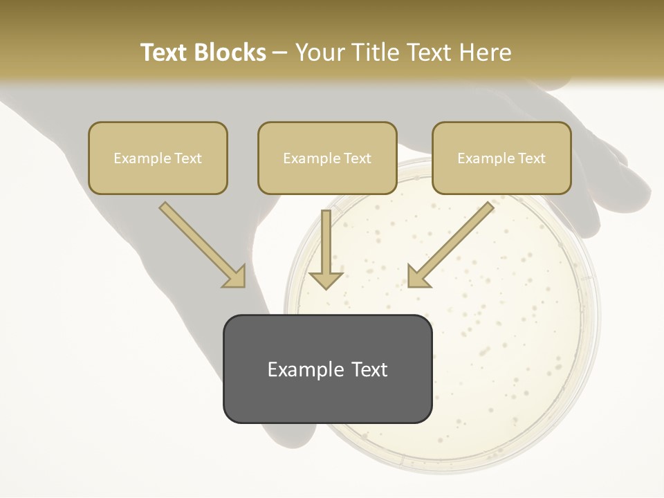Petri Dish PowerPoint Template