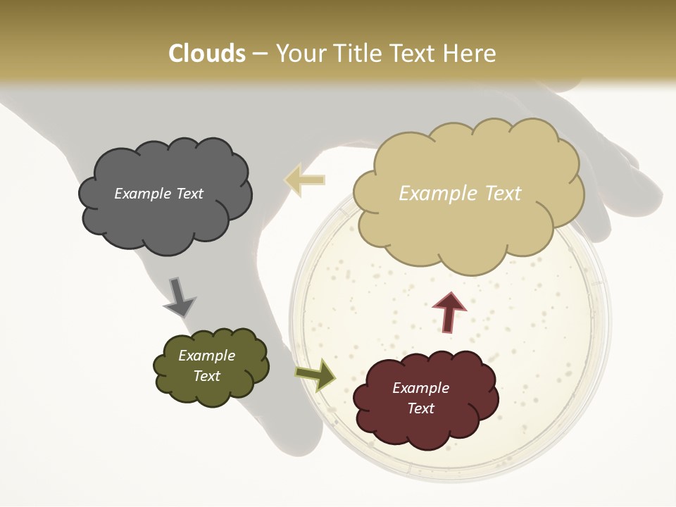Petri Dish PowerPoint Template