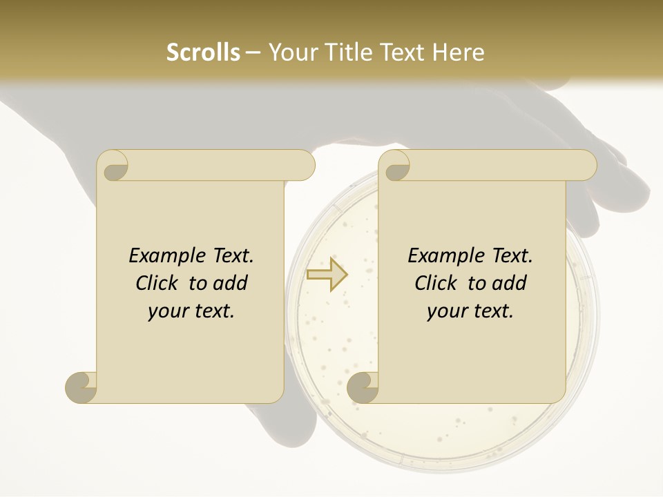 Petri Dish PowerPoint Template