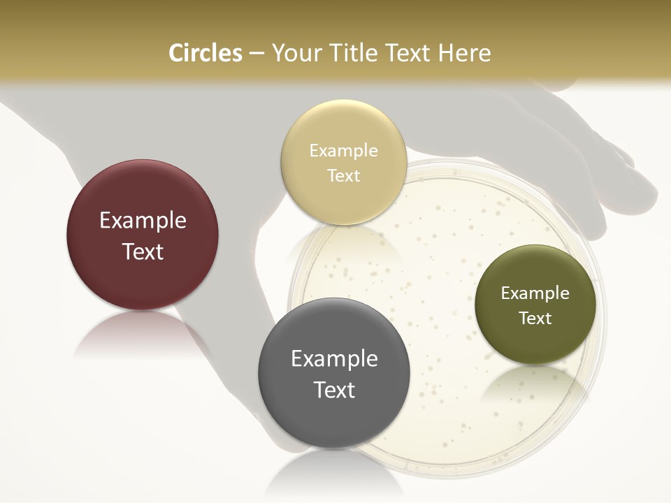Petri Dish PowerPoint Template