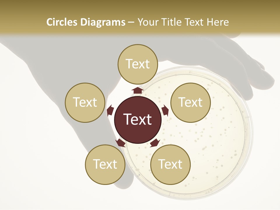 Petri Dish PowerPoint Template