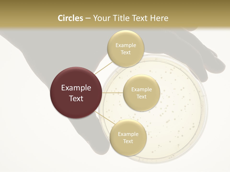 Petri Dish PowerPoint Template