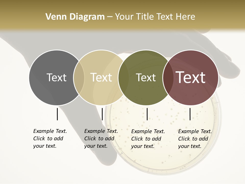 Petri Dish PowerPoint Template