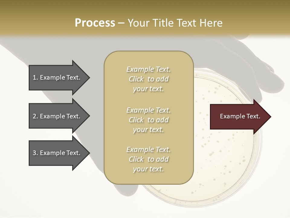 Petri Dish PowerPoint Template