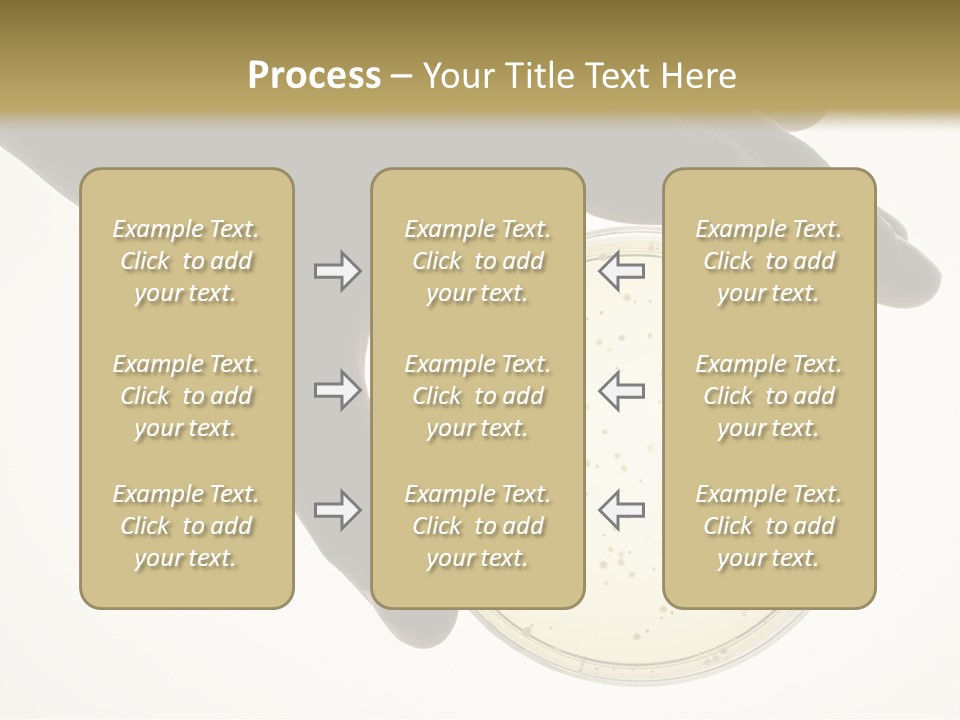Petri Dish PowerPoint Template